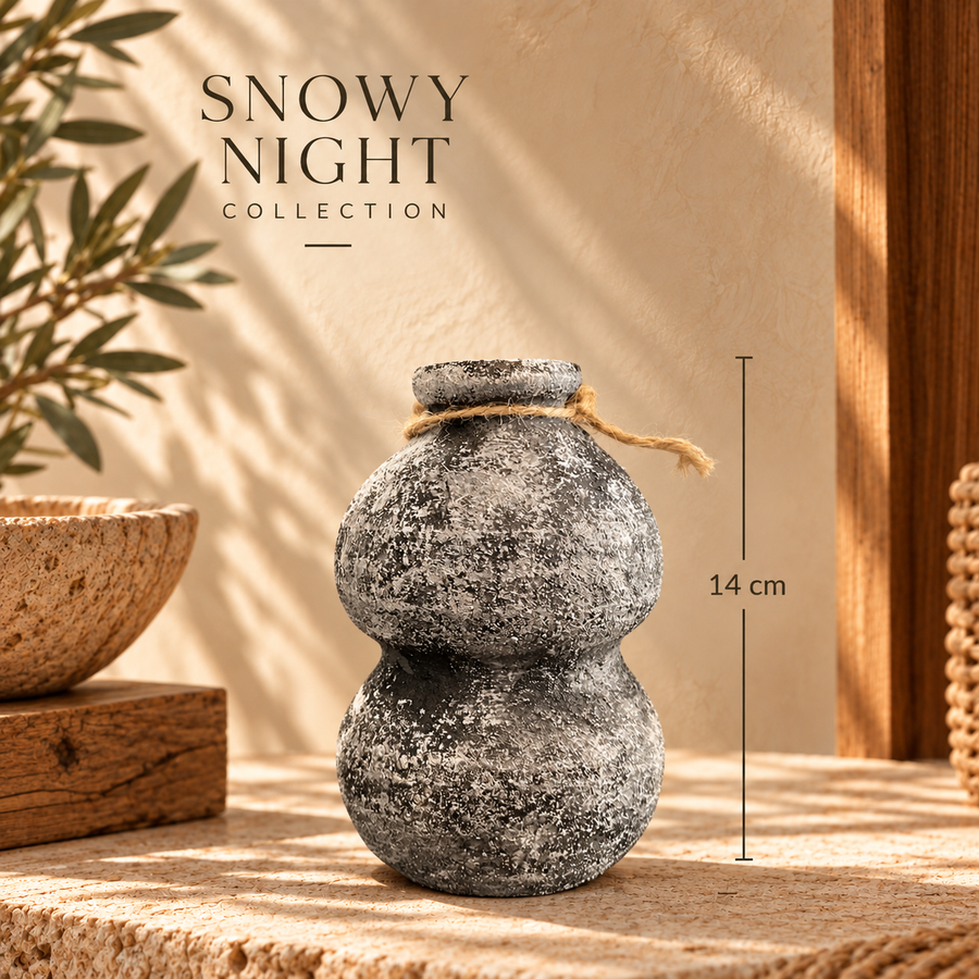 Snowy Night - 014