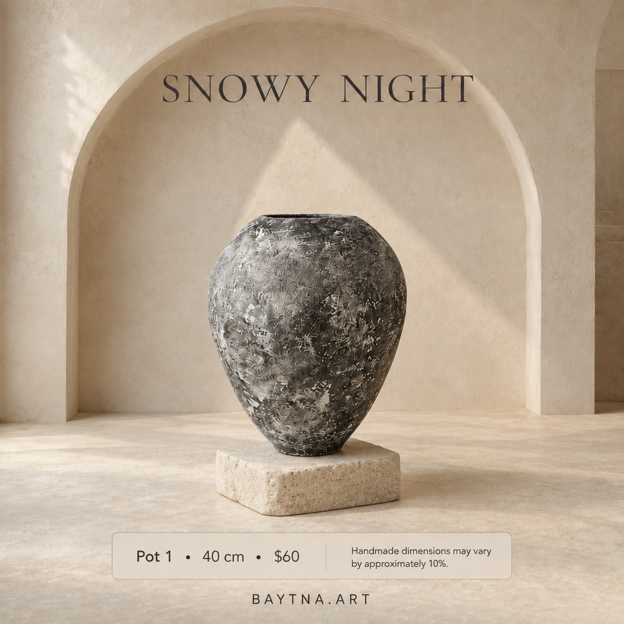 Snowy Night - 007
