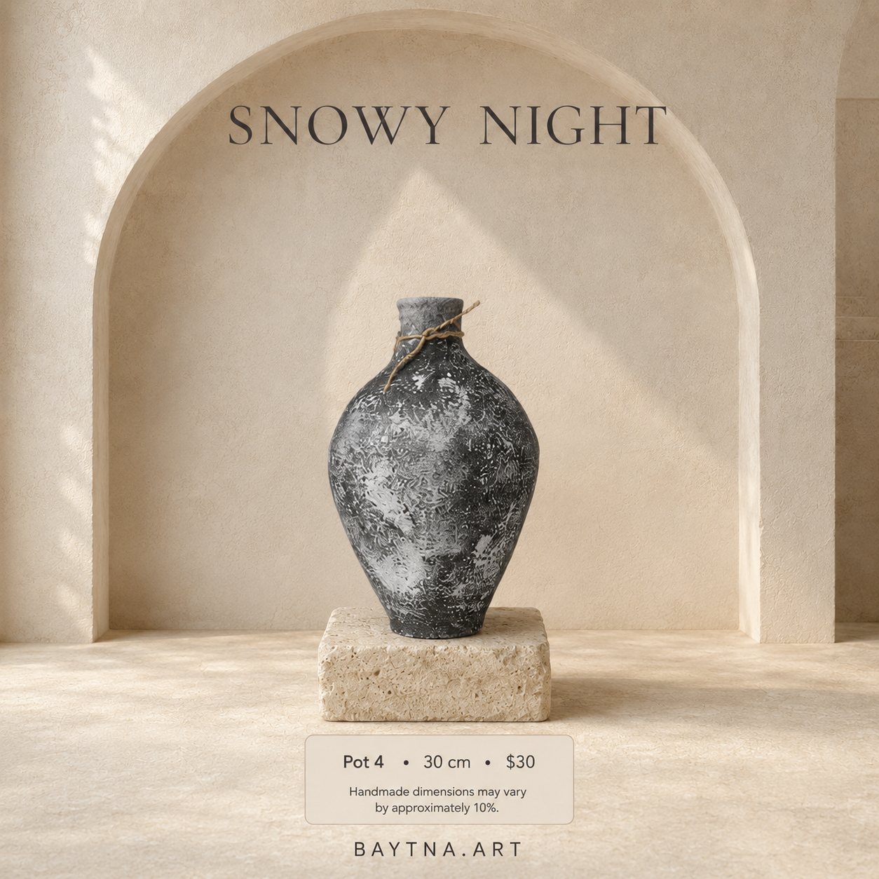 Snowy Night - 003
