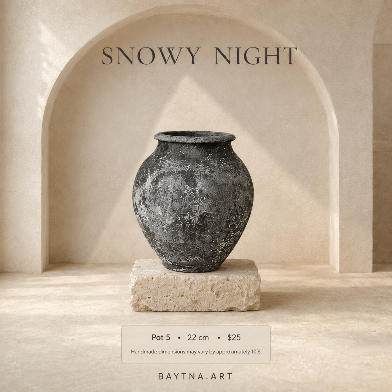 Snowy Night - 004
