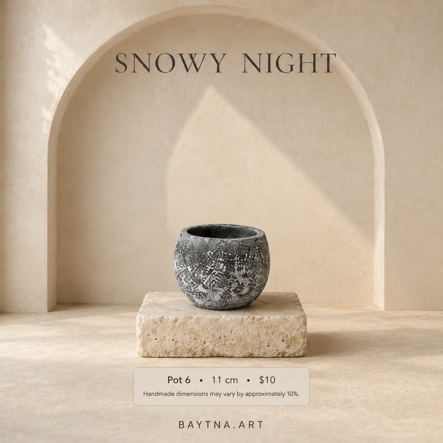 Snowy Night - 005