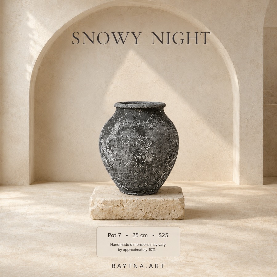 Snowy Night - 006